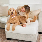 Housse de canapé avec chien